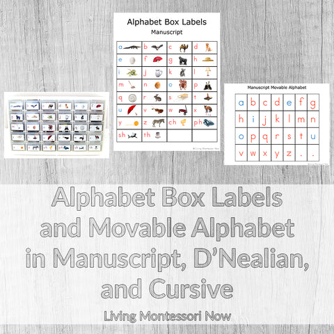 Alphabet Box Labels and Movable Alphabet in Manuscript, D'Nealian, and Cursive _ Living Montessori Now