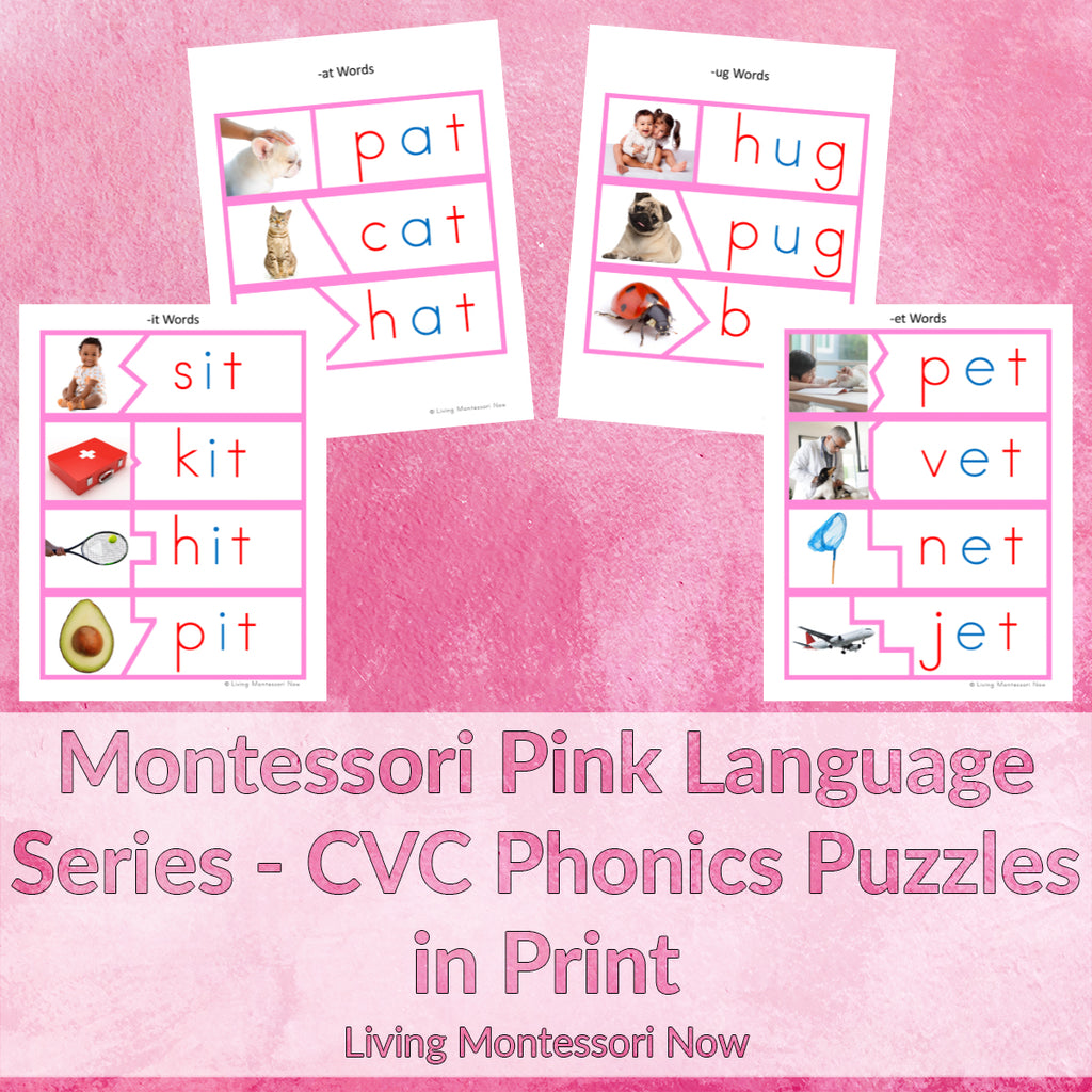 Montessori Moveable Alphabet With Instructions print Primary Language  Printable Montessori Cards Digital Download 