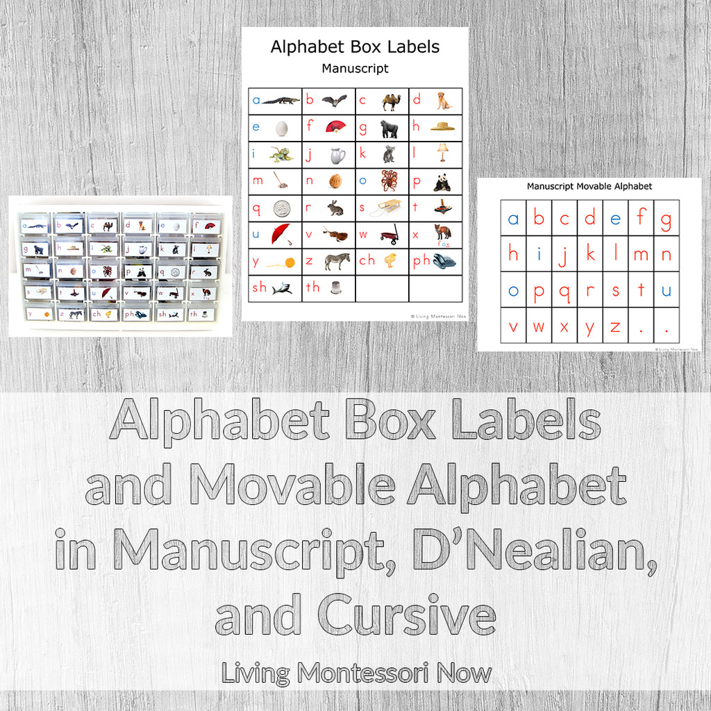 Alphabet Box Labels and Movable Alphabet in Manuscript, D'Nealian, and Cursive