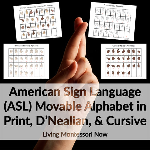 American Sign Language (ASL) Movable Alphabet in Print, D'Nealian, and Cursive