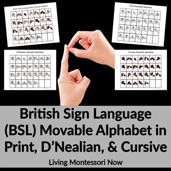 British Sign Language (BSL) Movable Alphabet in Print, D'nealian, and Cursive
