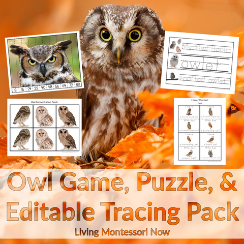 Owl Game, Puzzle, and Editable Tracing Pack in Print