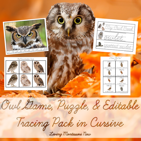 Owl Game, Puzzle, and Editable Tracing Pack in Cursive