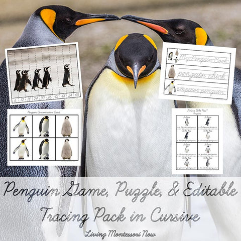 Penguin Game, Puzzle, and Editable Tracing Pack in Cursive