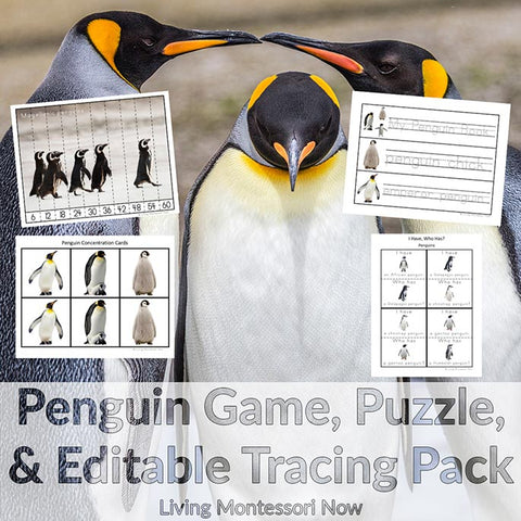 Penguin Game, Puzzle, and Editable Tracing Pack in Print